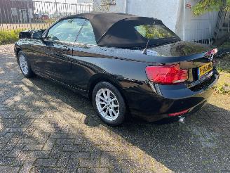 BMW 2-serie 218i clima/pdc/cabriolet picture 4