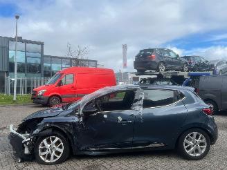 disassembly passenger cars Renault Clio 0.9 TCe Limited BJ 2019 60380 KM 2019/1
